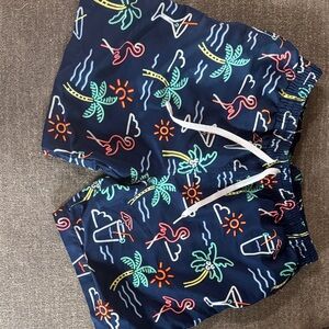 Chubbies Navy and Multicolor Swim Shorts